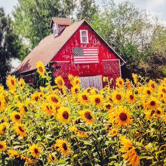 Other - Pillow Cover- NEW- Country Red Barn and Sunflowers